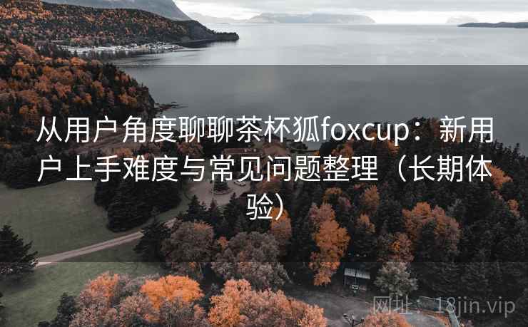 从用户角度聊聊茶杯狐foxcup：新用户上手难度与常见问题整理（长期体验）