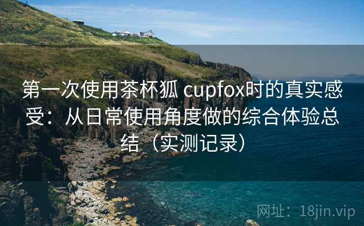 第一次使用茶杯狐 cupfox时的真实感受：从日常使用角度做的综合体验总结（实测记录）
