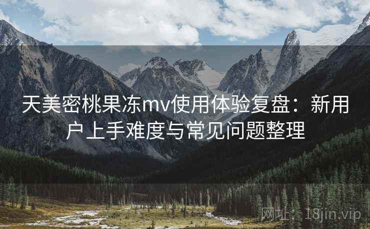 天美密桃果冻mv使用体验复盘：新用户上手难度与常见问题整理