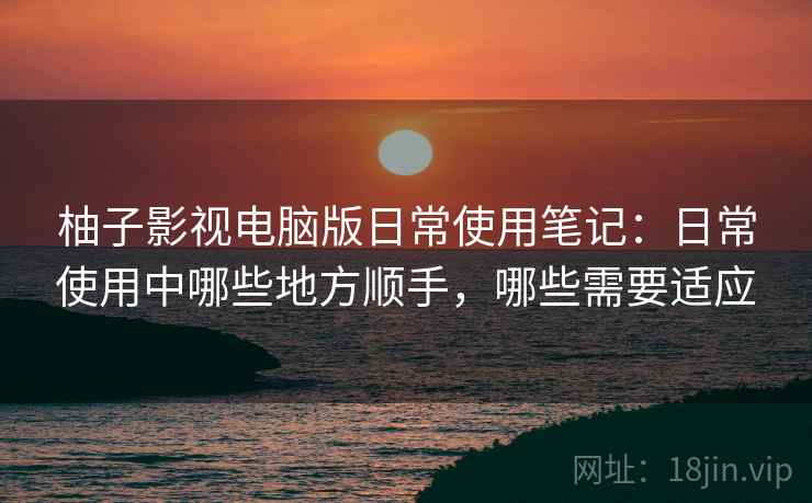 柚子影视电脑版日常使用笔记：日常使用中哪些地方顺手，哪些需要适应